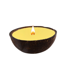 Load image into Gallery viewer, Coconut Shell
